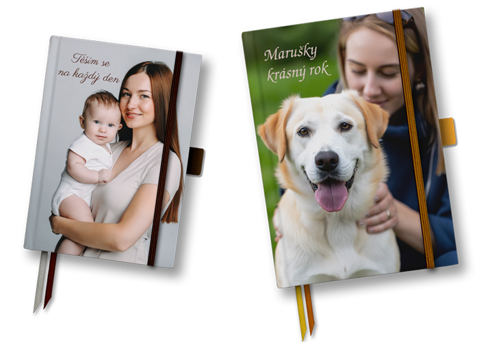 Diáře myonlymy Noblesse